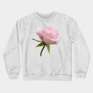 Beautiful Pink Rose Crewneck Sweatshirt